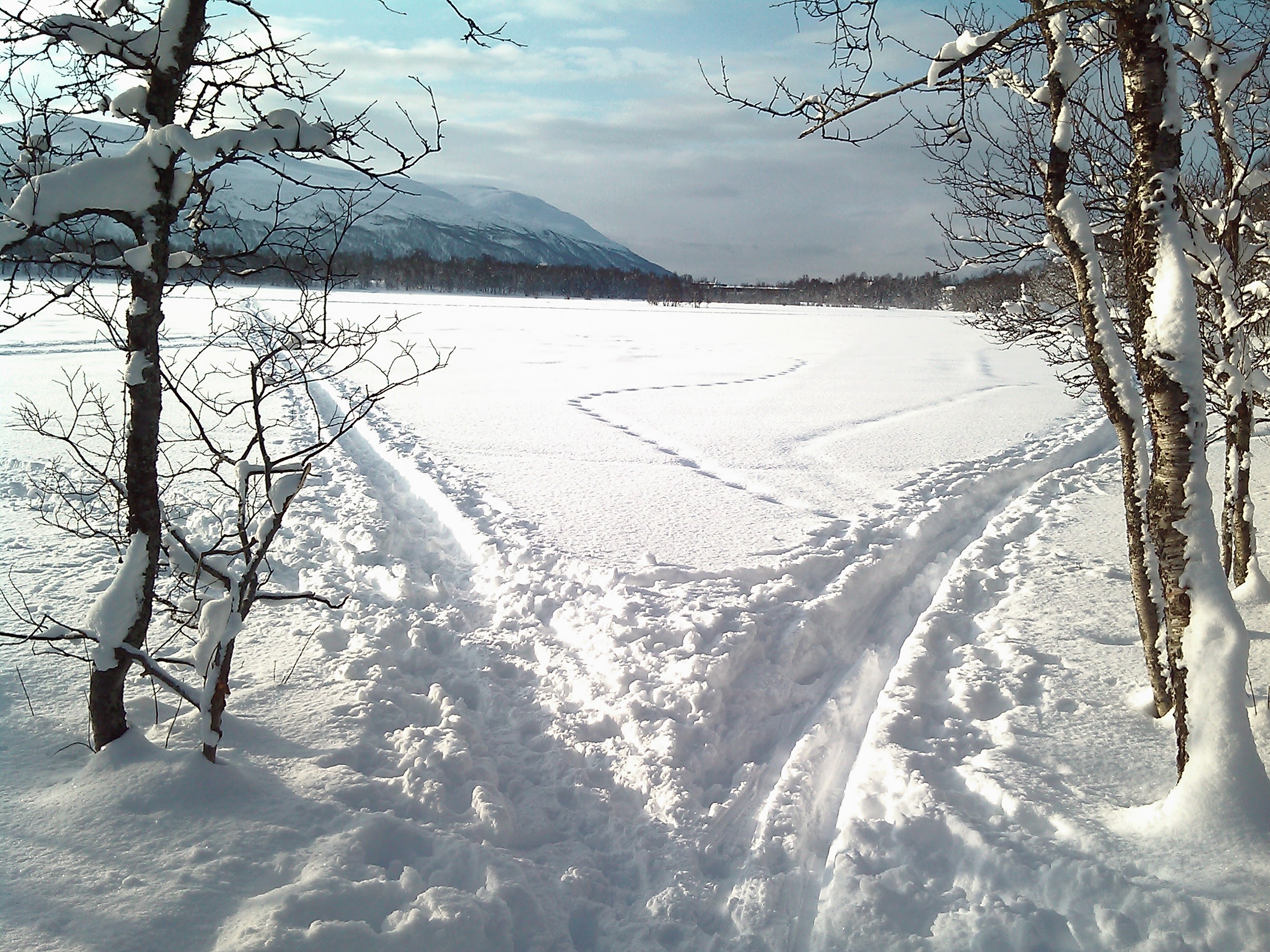 Prestvannet Tromsø in de winter