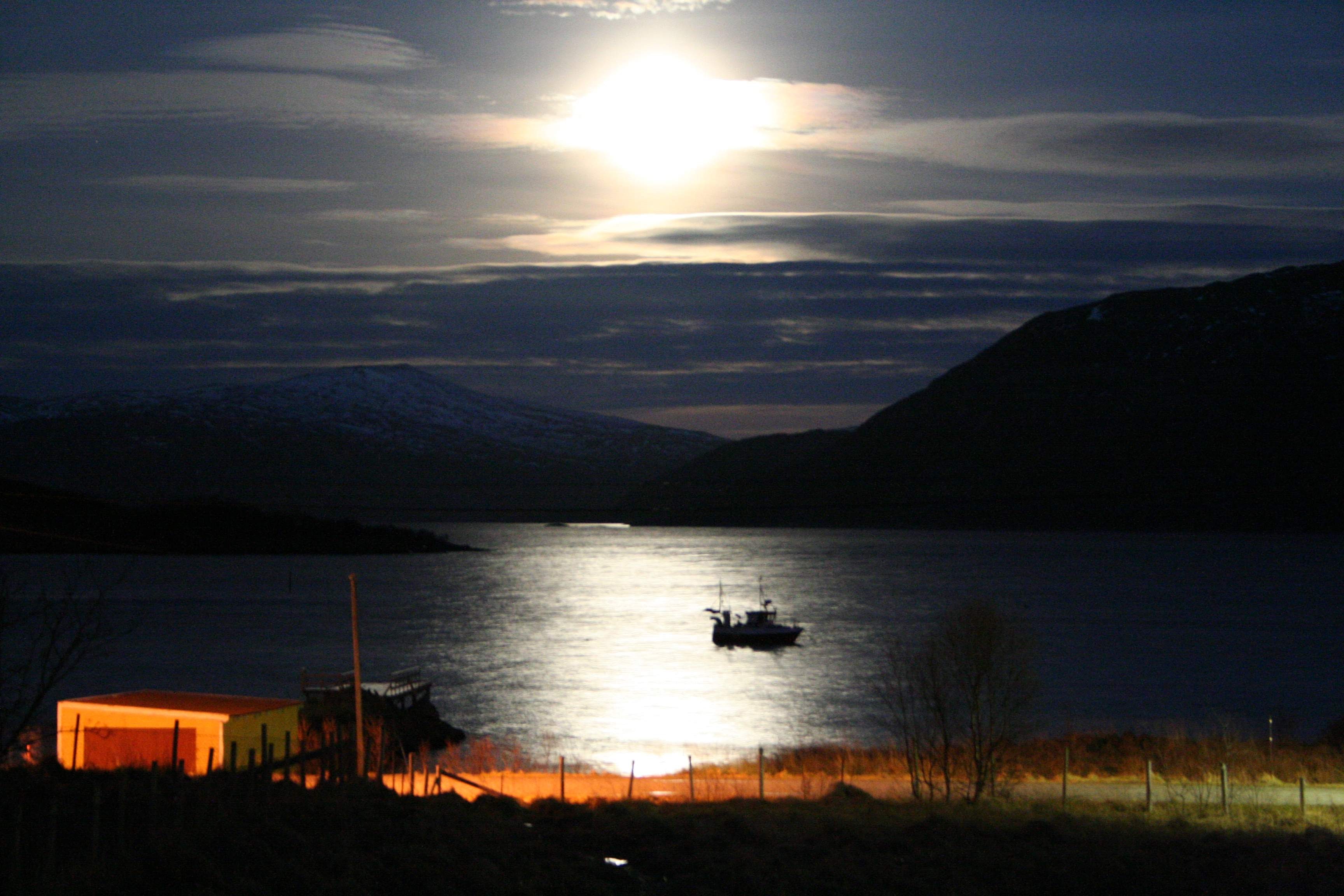 Vengsøy in maanlicht